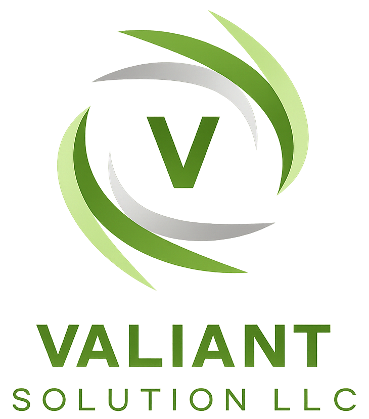 Valiant Solution LLC logo